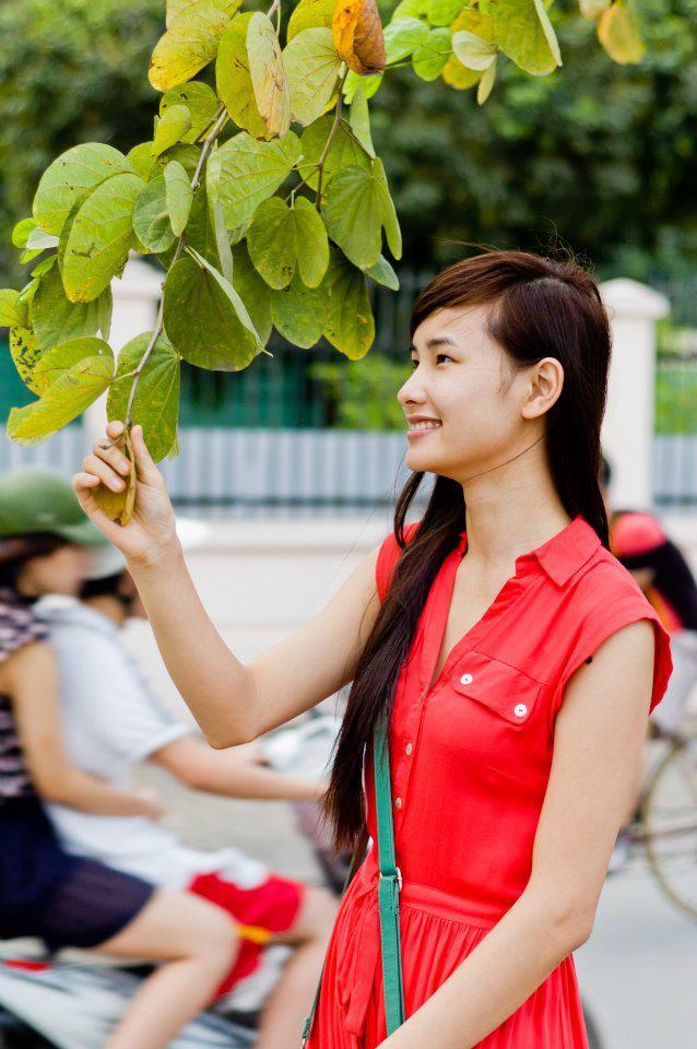 虎踞龙盘电视剧